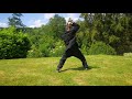 choy li fut basic form