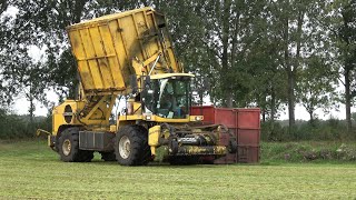 New Holland FX bunkerhakselaar en DAF XF 480 aan het gras hakselen - Grasdrogerij Ruinerwold (2021)