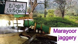 മറയൂർ ശർക്കര|jaggery making Marayoor|One2One