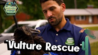 Vulture Rescue (Rundown)