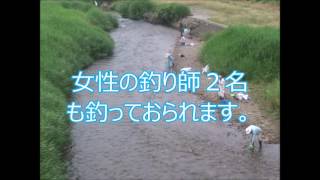 2016- 7 -1 知内川子鮎釣り② -1