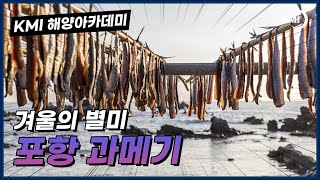 겨울별미 구룡포 과메기에 대해 알아보자