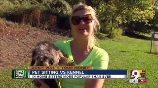 In-home pet sitters: Plusses and minuses