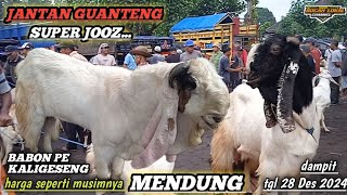 TERUPDATE HARI INI‼️HARGA KAMBING JANTAN DAN BETINA PE KALIGESENG DI  PASAR DAMPIT TGL 28 DES 2024