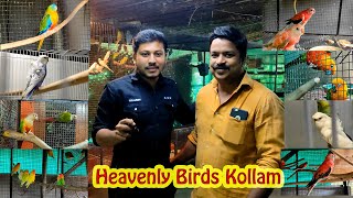 Heavenly birds kollam # kollam farm # birds farm