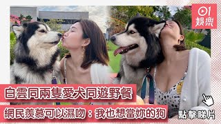 白雲同兩隻愛犬同遊野餐　網民羨慕可以濕吻：我也想當妳的狗