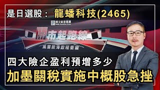 黃師傅是日選股：龍蟠科技(2465)｜加墨關稅實施中概股急挫｜四大險企盈利預增多少｜25-2-2025