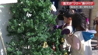 “映える”ツリーにパワーアップ！駐在所のクリスマスツリーを園児が飾り付け【高知】 (21/11/17 19:30)