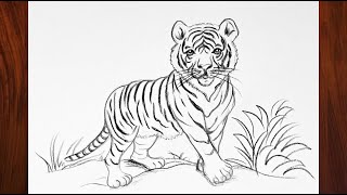 How To Draw tiger step by step 🐯 | Easy Tiger Drawing 🐅 | Tiger Drawing most simple ever