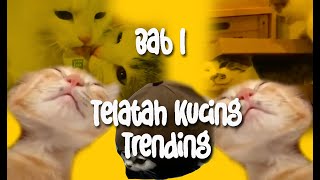 TELATAH MEOW YANG COMEL KELAKAR GILA@ funnycats #funnycats