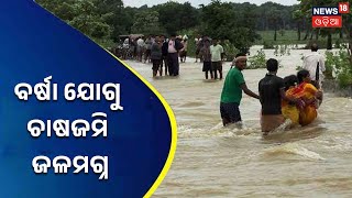 Odisha Weather I Odisha Flood I Nuapada Rain I ରାସ୍ତାରେ ଜମିଛି ପାଣି, ଯାତାୟାତରେ ଅସୁବିଧା I news18 Odia