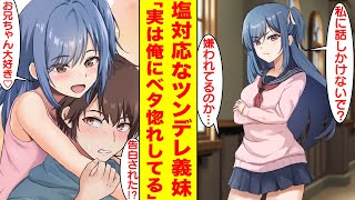 【漫画】ツンデレ義妹が塩対応すぎるが実は兄のことが大好きで裏で俺に告白していた。義妹「私に話しかけないで？」俺「嫌われてるのか」美女「お兄ちゃん大好き」俺「告白された！？」【胸キュン漫画】【恋愛漫画】