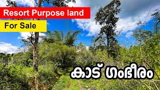 Very Beautiful 96 Cent Land with Forest Boundary for Sale @pakkam near Pulpally #wayanad #kerala