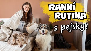 MOJE RANNÍ RUTINA S PEJSKY! | Ráno s Akimem a Merlinem