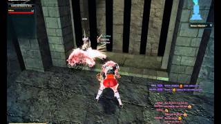 Vindictus - It's crashing my wolf!