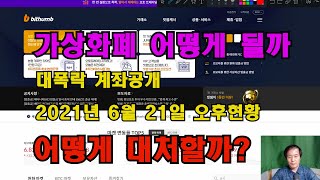 2021일 6월 21일 가상화폐현황 / 대폭락 개인계좌 공개 / 가상화폐시장 어떻게 되고 어떻게 대처할까?