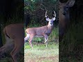 Archery, Rifle, Crossbow they all bring home the venison