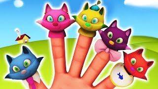 Nursery Rhyme Street | Cat Finger Family + Nursery Rhymes and Kids Songs Collection