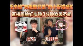 当桑杰直播连麦却遇到了自己的“双胞胎”，被小野猫硬控满脸通红【凤煌解说王者荣耀】