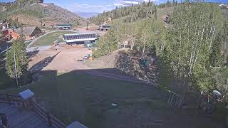 Steinlodge SkiCam