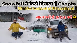 Snowfall in Chopta | Mini Switzerland of Uttarakhand | Chopta Uttarakhand | chopta vlog