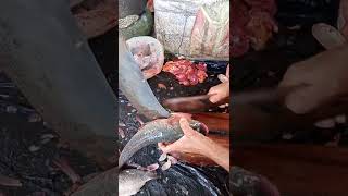 Silver Carp Fish Cleaning Skills | 😍 Best Fish Cleaning Skills 😍 #shorts