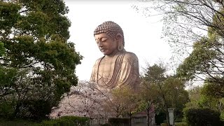 愛知県の巨大な大仏を見にきたよ 聚楽園