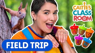 Let's Pretend To Be Squirrels! | Caitie's Classroom Field Trip | Learn \u0026 Play On An Epic Playground!