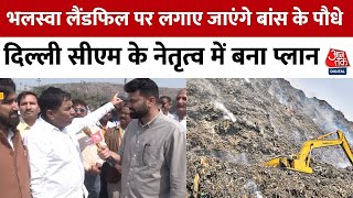 Bhalswa Landfill Site : बांस के पौधों से हराभरा होगा भलस्वा लैंडफिल, जानिए Delhi Govt. का प्लान