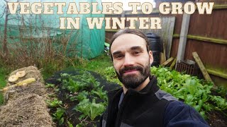 10 hardy crops to grow in Winter in cold climates | Frost hardy | Winter hardy | Allotment | Garden