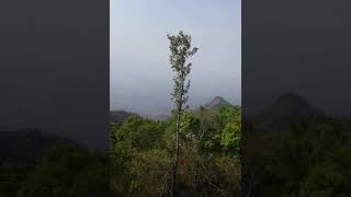 ஏற்காடு மலை,⛰️Yercadu Top view....😍