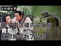 民間故事：男子兩次被青蛇反咬，青蛇冷笑：其實我是為了幫你｜高朗講故事