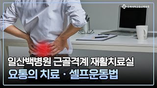 [일산백병원 근골격계 재활치료실] 몸의 대들보 '허리' 요통의 치료와 셀프운동법💪