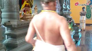 Montreal Murugan Temple Holy Festival 2020 - Day 11 - Morning Poojai - Nelliaddy Makkal