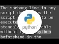 Should I put #! (shebang) in Python scripts, and what form should it take?