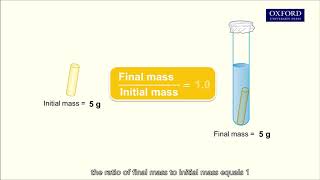 Online tutorial 3.1 Determine water potential from the graph