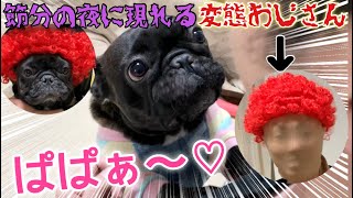 【モニタリング】鬼がパパだと気づいた時の愛犬の反応がかわいすぎた【フレンチブルドッグ】【 変なおじさん】