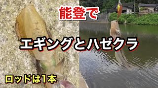 【石川県 志賀町】外浦でエギングとハゼクラ