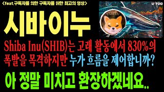 시바이누코인 시바이누 시바이누코인전망 SHIB DOGE BTC 코인전망 비트코인 이더리움 도지코인