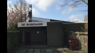 De Wijngaard zondag  23 februari 2025