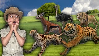 World's Fastest animals on land for kids | educational wild animal video for kids by Atrin and Soren
