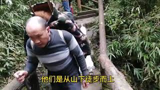 天津人攀登四川省青城山后山，自然景观堪称一绝，为什么只走一半