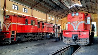 Thăm trạm đầu máy Diêu Trì - Nhiều đầu máy xe lửa đẹp - (Locomotives in Vietnam)