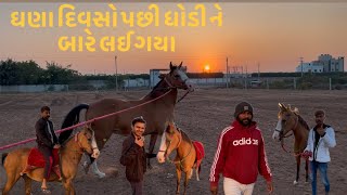 ઘણા દિવસો પછી ઘોડી ને બારે લઈ ગયા|| RBVLOGS|| #rbvlogs @RBBORATWADAVLOGS @KrishivVlog-5513