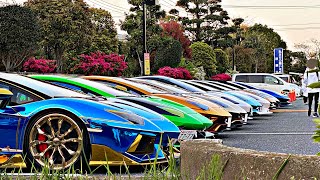 [Morohoshi Family] Many Lamborghinis gathered at Misato City Cultural Center! ! !