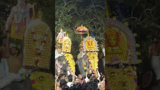 പൂരം പൊടിപൂരം #youtubeshorts #temple #pooram2024 #pooram #alappuzha #devotional