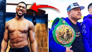 Anthony Joshua APPRECIATED HIS OPPORTUNITY TO KNOCK OUT Alexander Usyk IN A REMATCH / Fury - Joshua