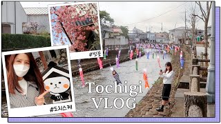 Filming is over! Relaxed Half-Day Dochigi Tour | Japan Vlog | 藤井美菜 | 후지이 미나