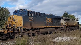 (Ex-CitiRail Leader \u0026 CSX 3215!!) CN 122 - 2772 \u0026 CSX 3215 In Lynden Ontario