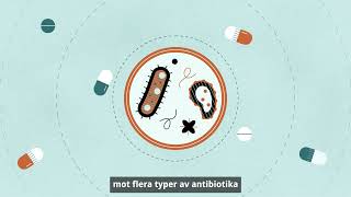 Lär dig mer om antibiotikaresistens i vår nya film.